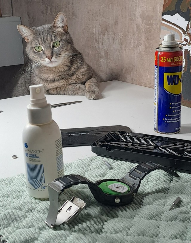 Ну начнемс ...!