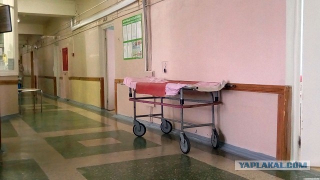 Профессор Варзин: штрафы в сфере медицины похожи на узаконенный рэкет