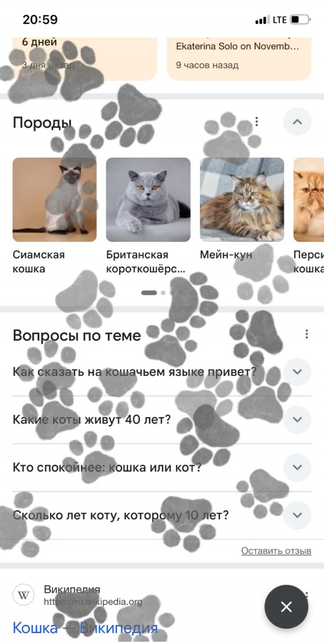 Так себе картинки 04.12.25