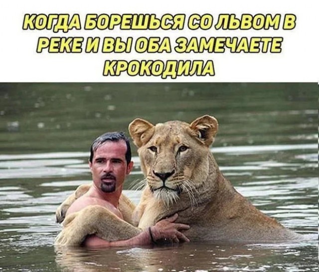 Картиночки, баянчики 26 декабря