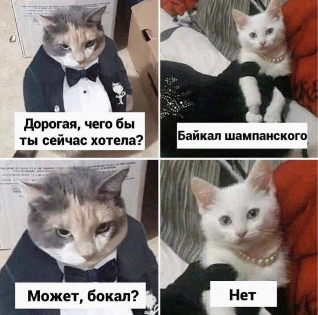 Вторника картинки