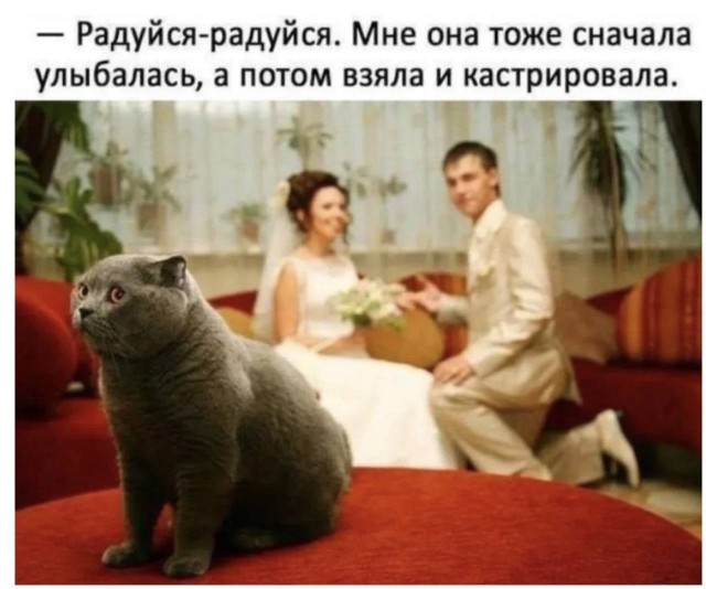 Картинки для деградации 181 (разной степени свежести)