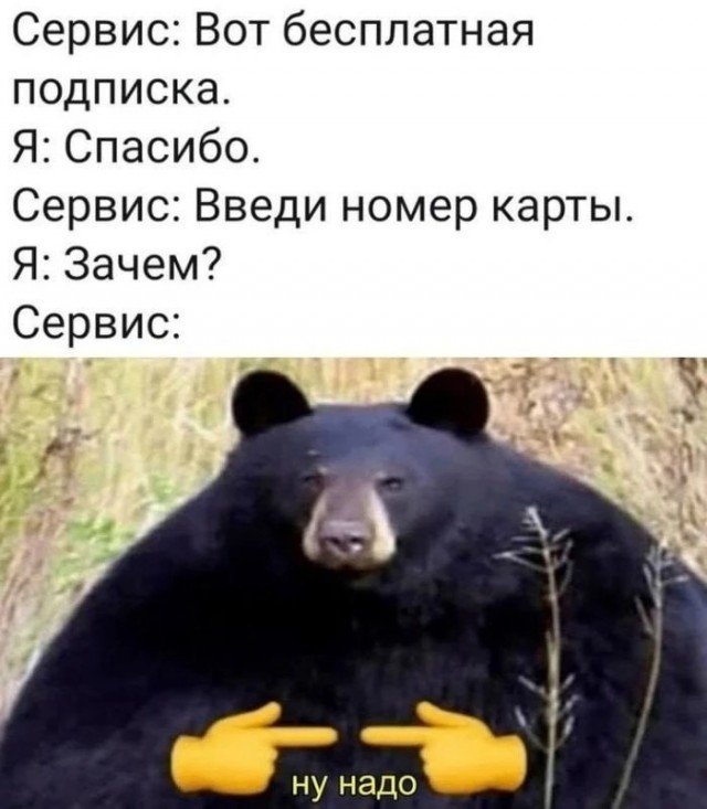 Картиночки, баянчики 16 апреля