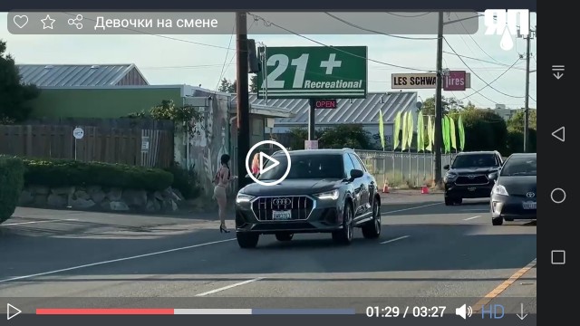 Дамы с улиц США