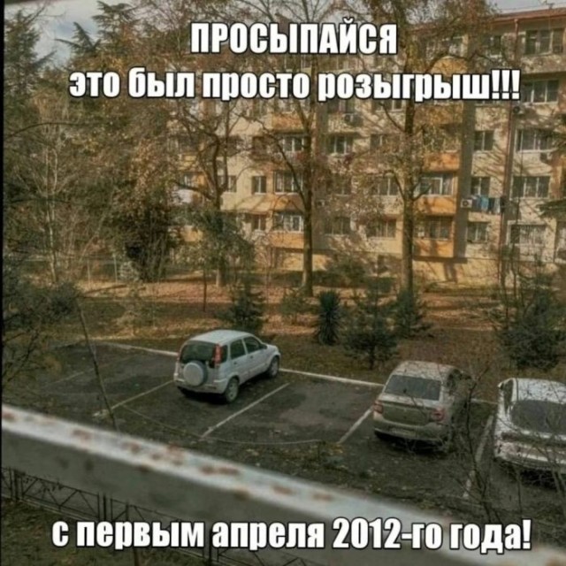 Веселые картинки в пятницу (29.05)