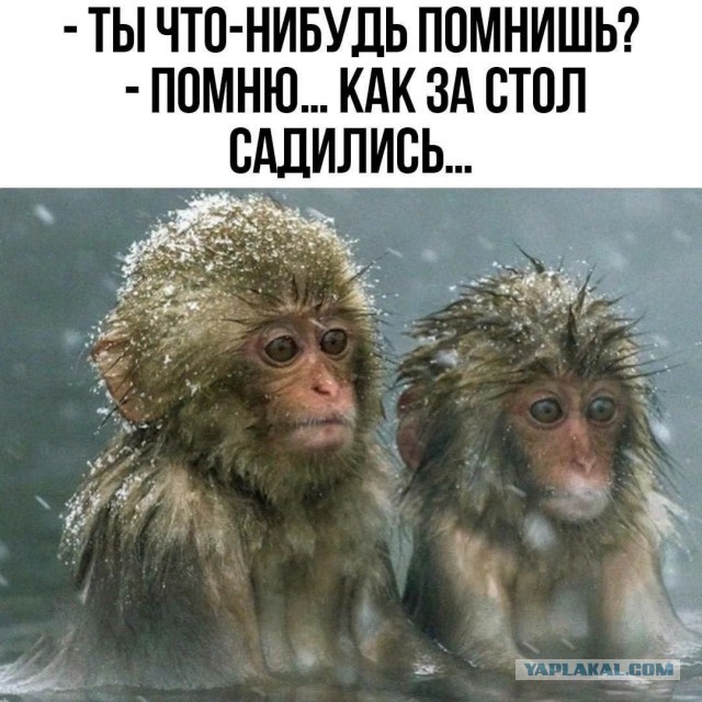 Пятница...Кто чем занят?