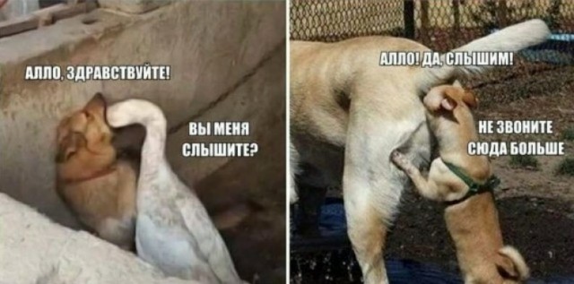 Минцифры должно воевать не против россиян, а против реальных врагов, заявил православный олигарх Константин Малофеев