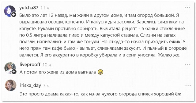 Драма в огороде⁠⁠