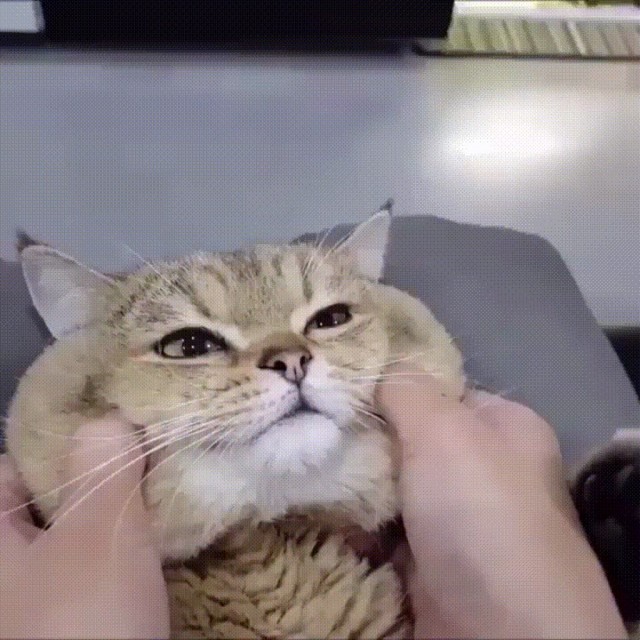 Капец вам кожаные