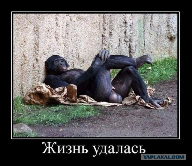 Сестры близняшки и один любовник