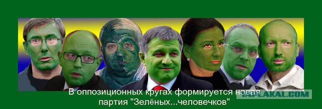 Вот что делает любопытство... с котом и зеленкой