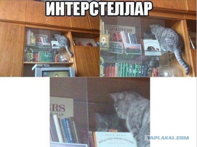 Картинки разные