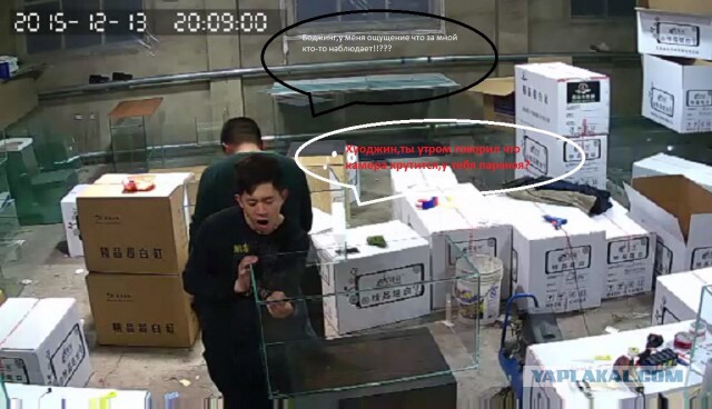 За что я люблю китайцев