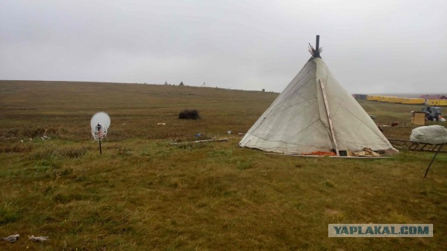 В Якутии две девушки замерзли насмерть в лесу