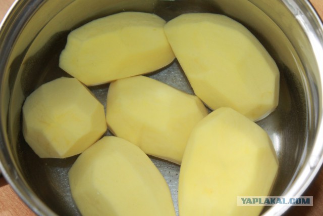 Психокулинария. День открытых дверей.