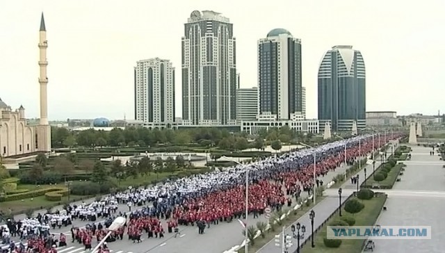 Четыре краеведа ушли из комиссии Петербурга из-за моста Кадырова