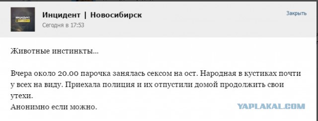 Секс в публичном месте