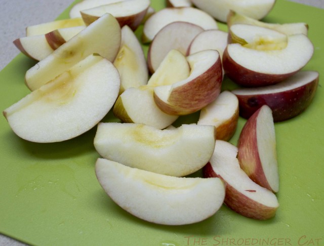 International одной книги., В память о Дженибеке.