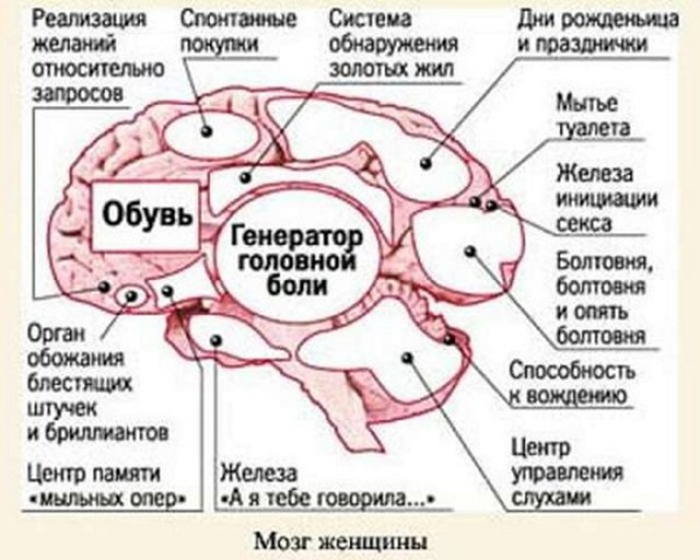 Подборка картинок с просторов