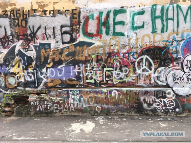 «Яндекс» снял видеотрибьют на «Звезду по имени Солнце» ко дню рождения Цоя