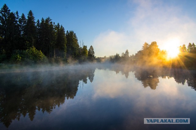 Недавно купил фотоаппарат! Хочу похвастаться!