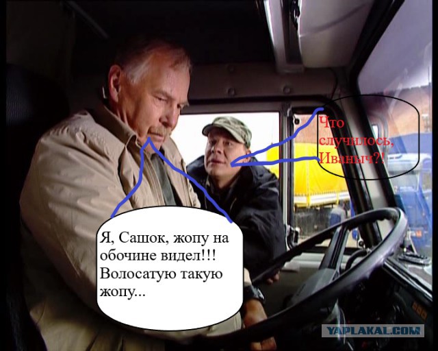 К ссущим на обочине