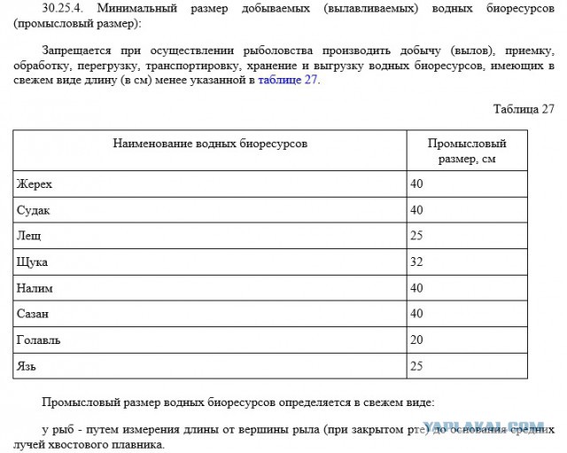 Запрещено всё: нельзя к реке, нельзя в лес. Нельзя ничего