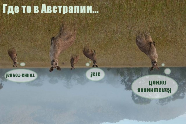 Сердюков: автомат Калашникова морально устарел