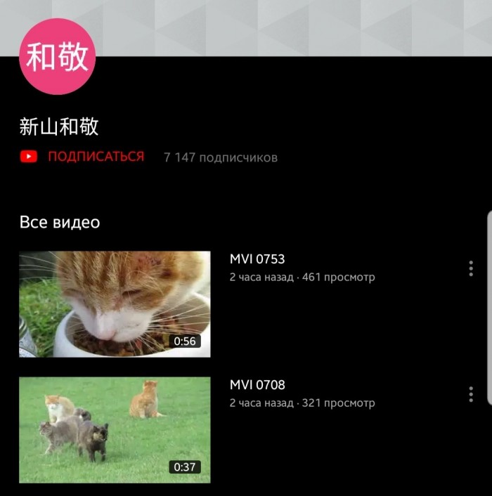 За 9 лет японец снял более 20 тысяч видео с котиками