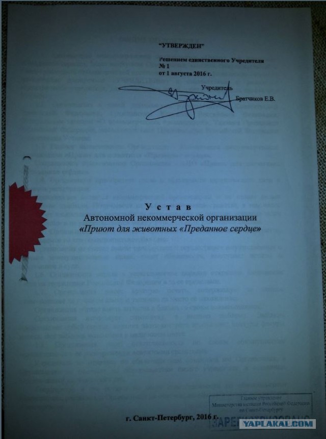 Помогите вернуть кота! Приют "Преданное сердце" украл кота и не отдает!-2