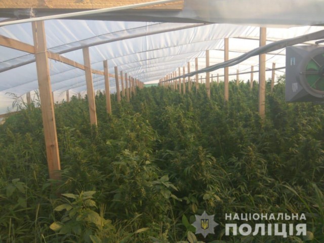 Как выживают люди в российских глубинках