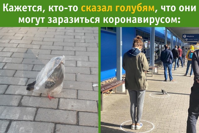 Пост вечера понедельника