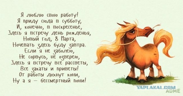 Не бойтесь развода. Женская версия