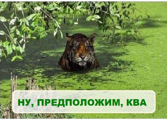 Картинки разные