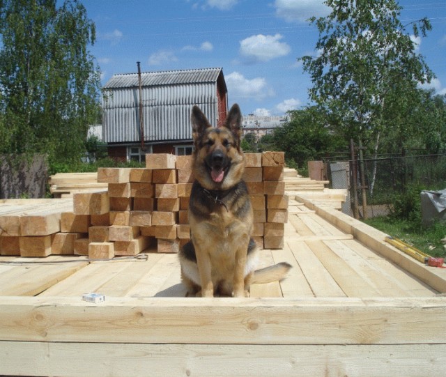 А вот не надо срать на детских площадках.