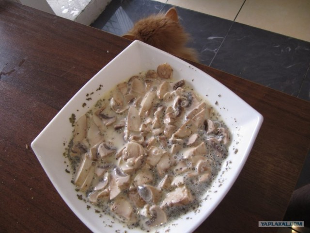 Омлет с персиком