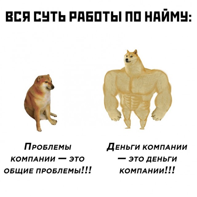 Картинки и мемы для настроения 29.09.2021