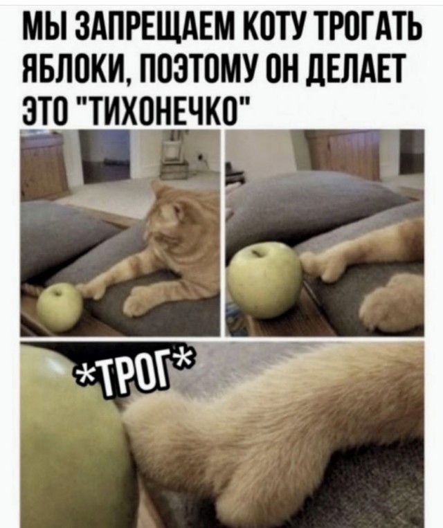 Картинки и мемы для настроения 30.09.2021
