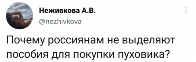Картинки и мемы для настроения 23.11.2021