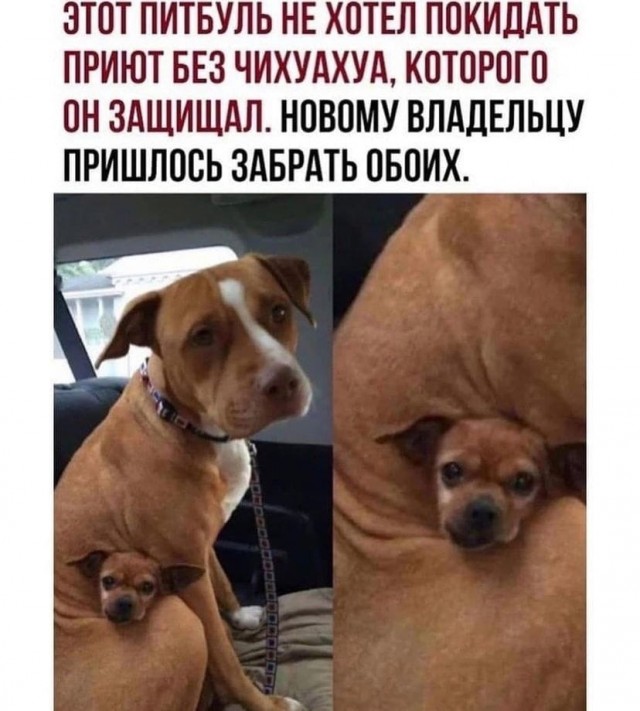 Чуток картинок 19.12.21