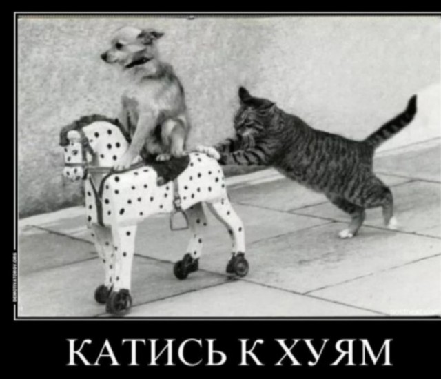 Самоочищение
