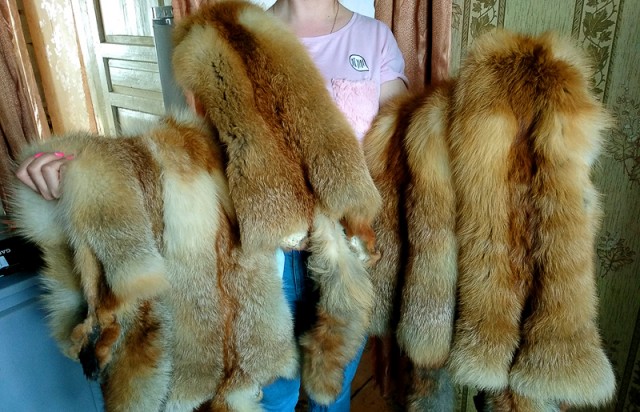 С полем!