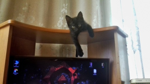 Кот д’Ивуар