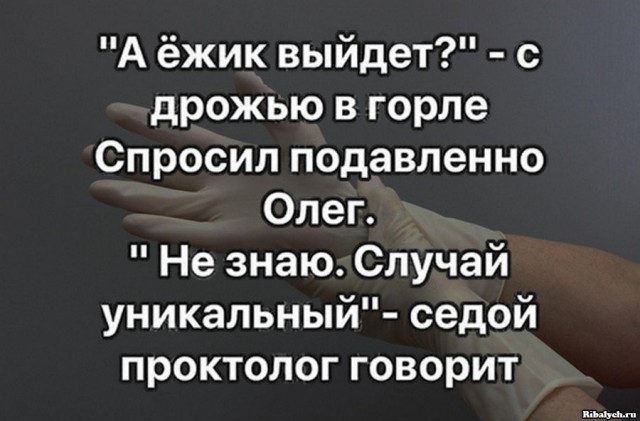 Женщина из Новой Зеландии выходила ёжика, который из-за чесотки лишился всех своих иголок и был беззащитен.