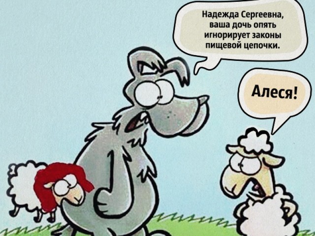 O kurwa