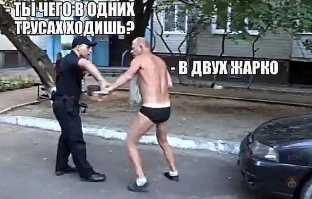 Отвлечься от дичи в жизни.Дичь в картинках-3.