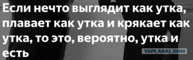 Бритни Грайнер, 60+