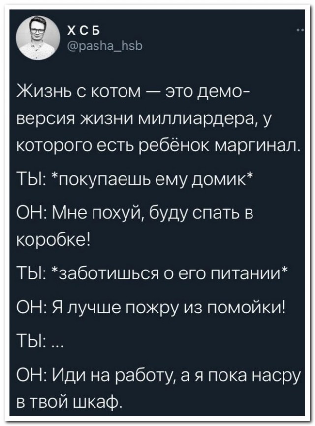 Забавные комментарии из социальных сетей (12.12.22)