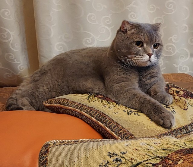 Совпало же? В котовторник