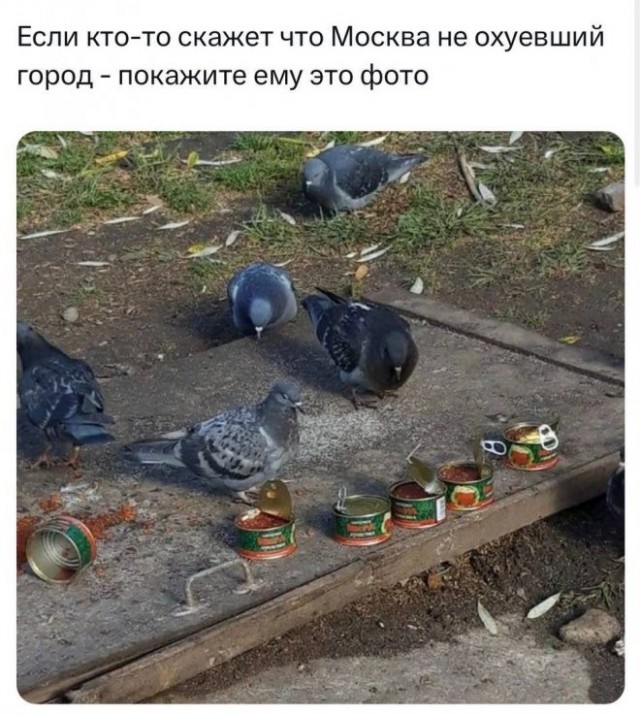 Картинки и мемы для настроения - 181